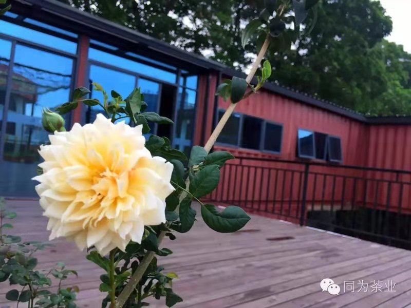 深圳集装箱住宅